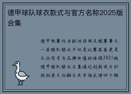 德甲球队球衣款式与官方名称2025版合集